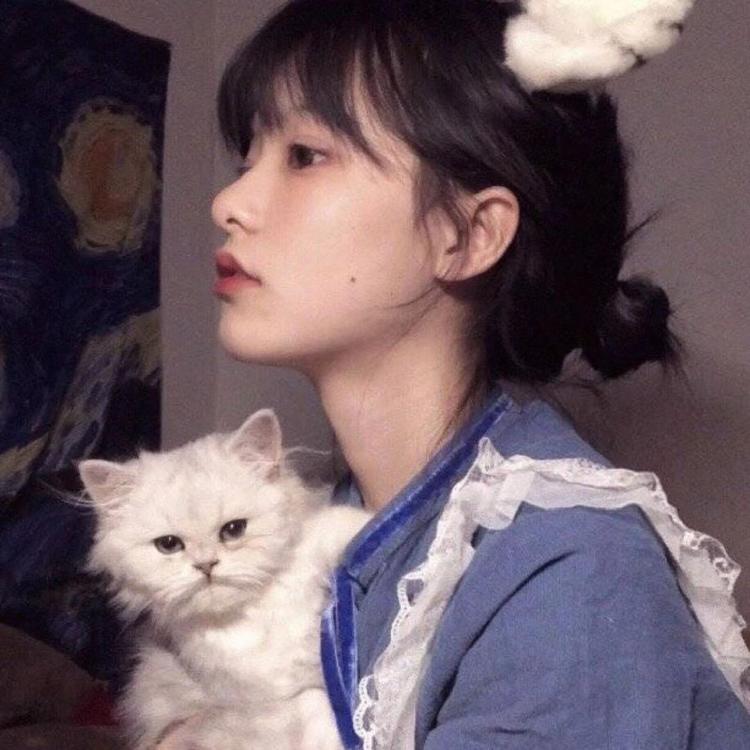 上海（雪代缘所在的黑帮基地） - 辣舞影视网址在线观看21 - 线上视频